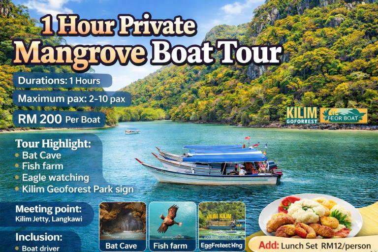 1 Hour Private Mangrove Boat Tour
