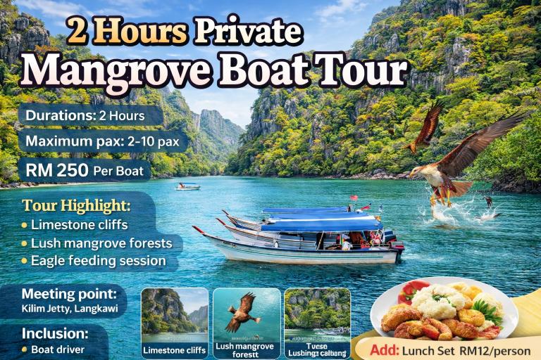 2 Hours Private Mangrove Boat Tour